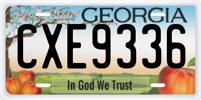 GA license plate CXE9336