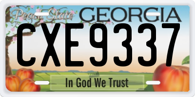 GA license plate CXE9337