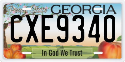 GA license plate CXE9340