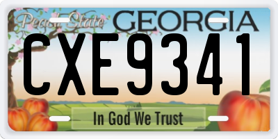 GA license plate CXE9341