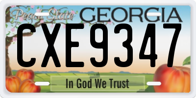 GA license plate CXE9347