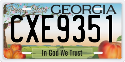 GA license plate CXE9351