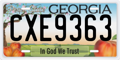 GA license plate CXE9363