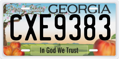 GA license plate CXE9383