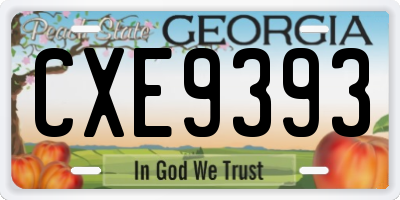GA license plate CXE9393