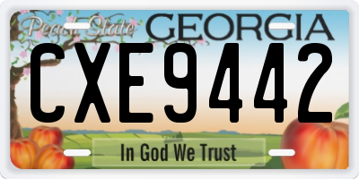 GA license plate CXE9442