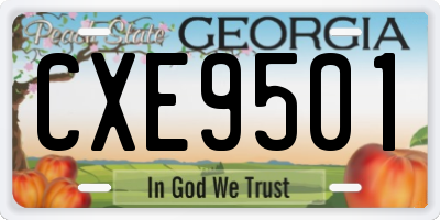 GA license plate CXE9501