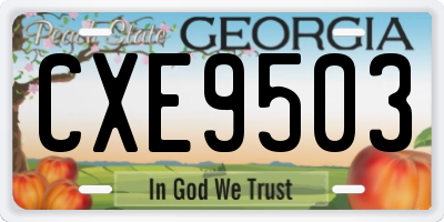 GA license plate CXE9503