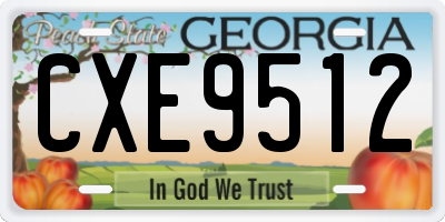 GA license plate CXE9512