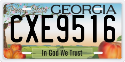 GA license plate CXE9516
