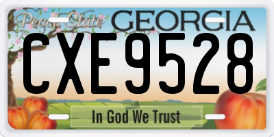 GA license plate CXE9528
