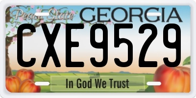 GA license plate CXE9529