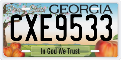 GA license plate CXE9533