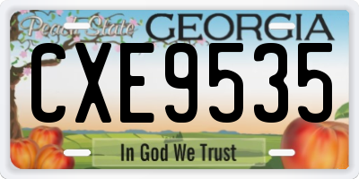 GA license plate CXE9535