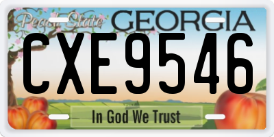 GA license plate CXE9546