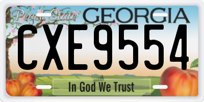 GA license plate CXE9554
