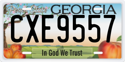 GA license plate CXE9557