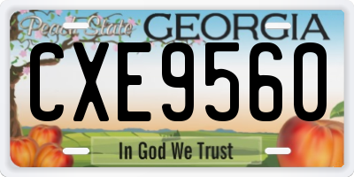 GA license plate CXE9560