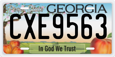 GA license plate CXE9563