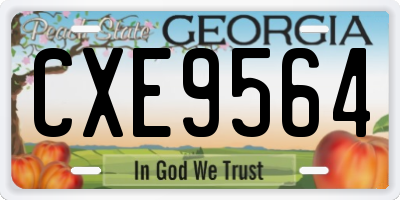GA license plate CXE9564
