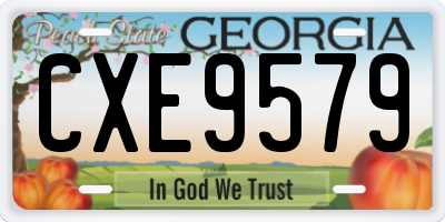 GA license plate CXE9579
