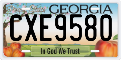 GA license plate CXE9580