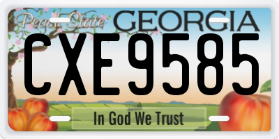 GA license plate CXE9585