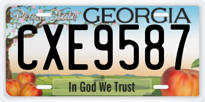 GA license plate CXE9587