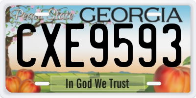 GA license plate CXE9593