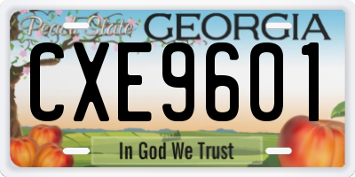 GA license plate CXE9601
