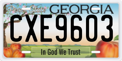 GA license plate CXE9603
