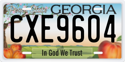 GA license plate CXE9604