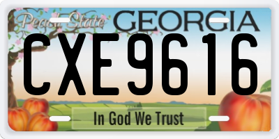 GA license plate CXE9616
