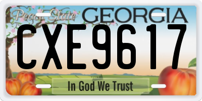 GA license plate CXE9617