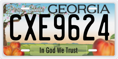GA license plate CXE9624