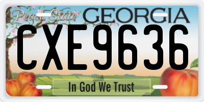 GA license plate CXE9636