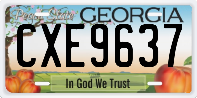 GA license plate CXE9637