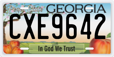 GA license plate CXE9642
