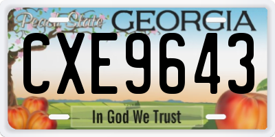 GA license plate CXE9643