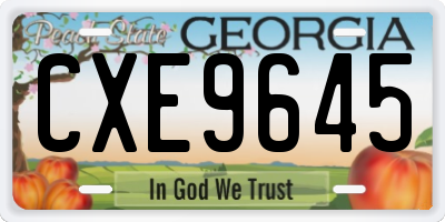 GA license plate CXE9645