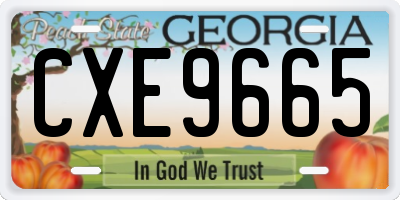 GA license plate CXE9665