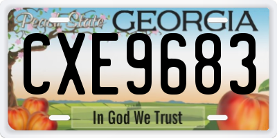 GA license plate CXE9683
