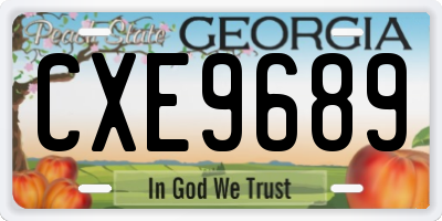 GA license plate CXE9689