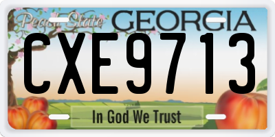 GA license plate CXE9713