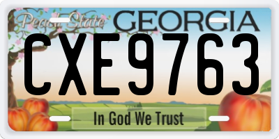 GA license plate CXE9763