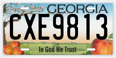 GA license plate CXE9813