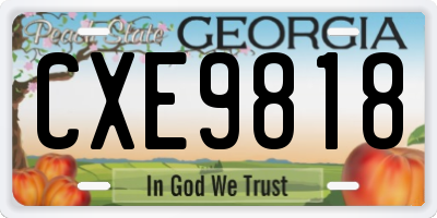 GA license plate CXE9818