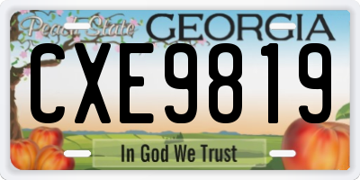 GA license plate CXE9819