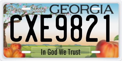 GA license plate CXE9821