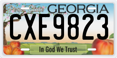 GA license plate CXE9823
